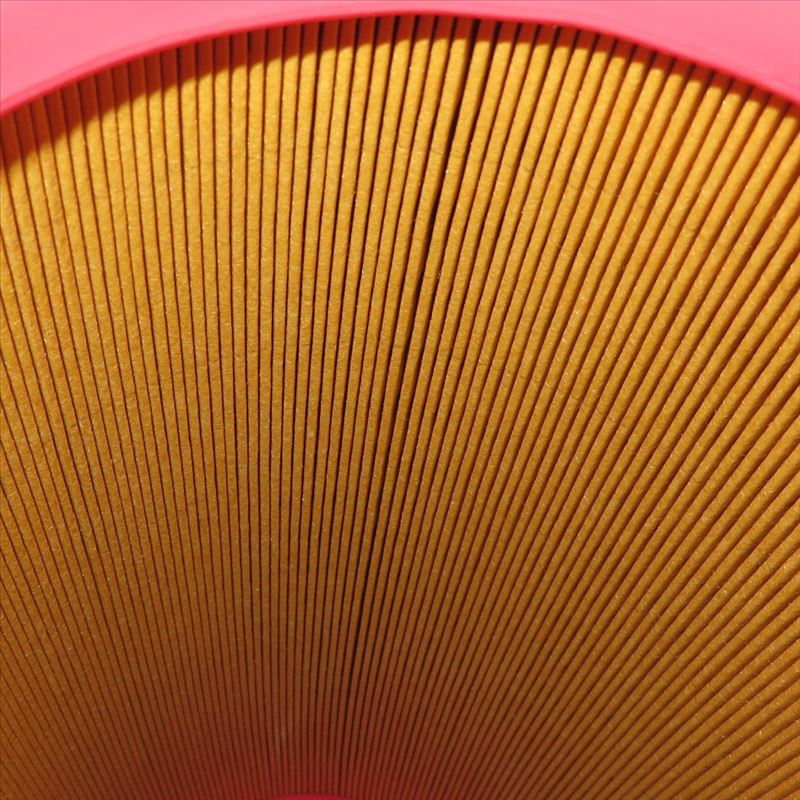Filtro de ar AF25723
