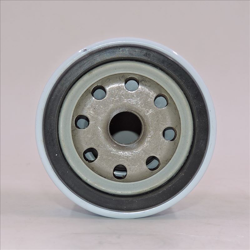 Filtro de combustível LKCQ1A-100E