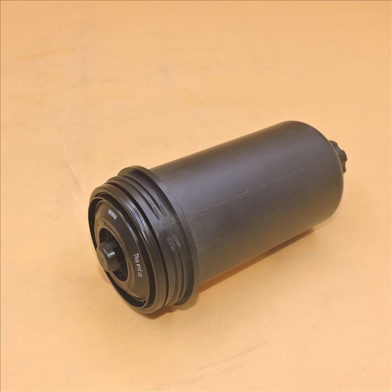 Conjunto do Filtro de Combustível 4461487