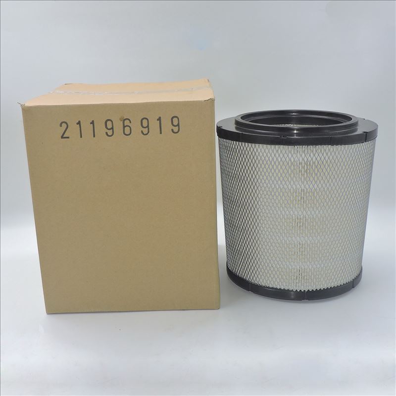 Filtro de Ar 21196919