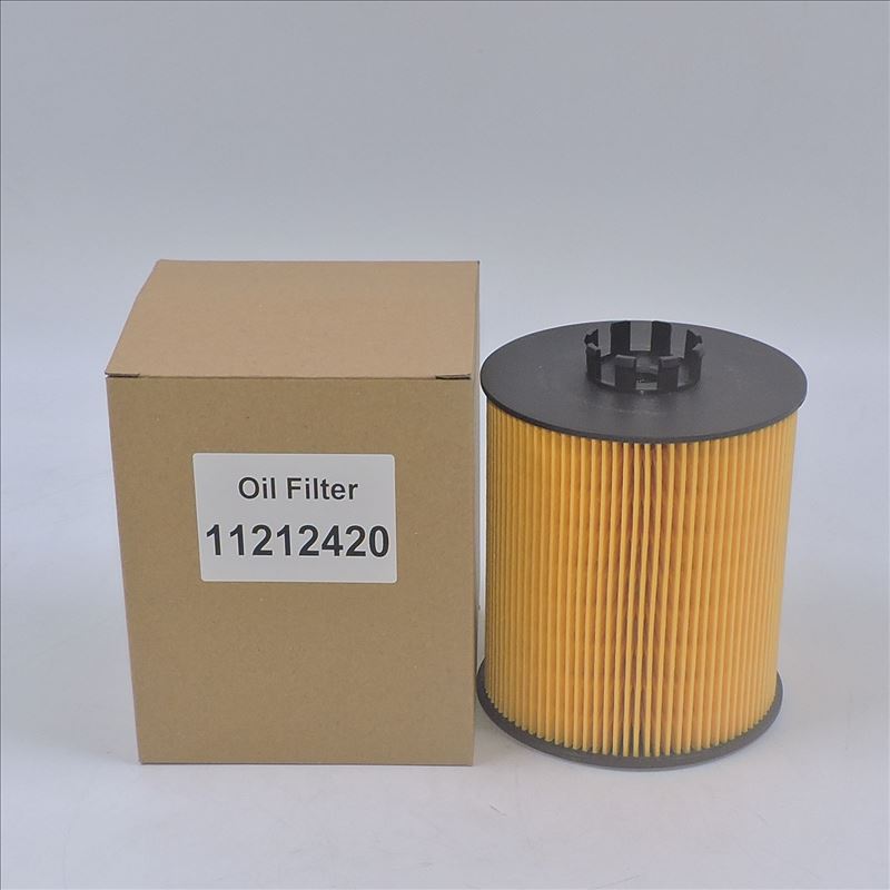 Filtro de óleo 11212420 P550938