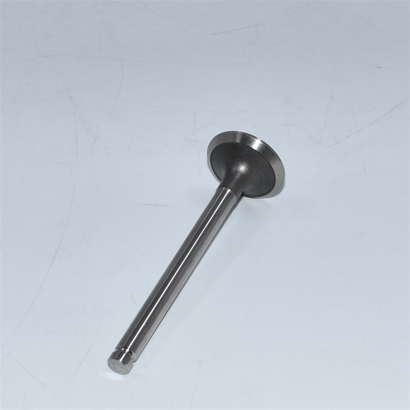 Válvula de Exaustão 905-003 3142A051