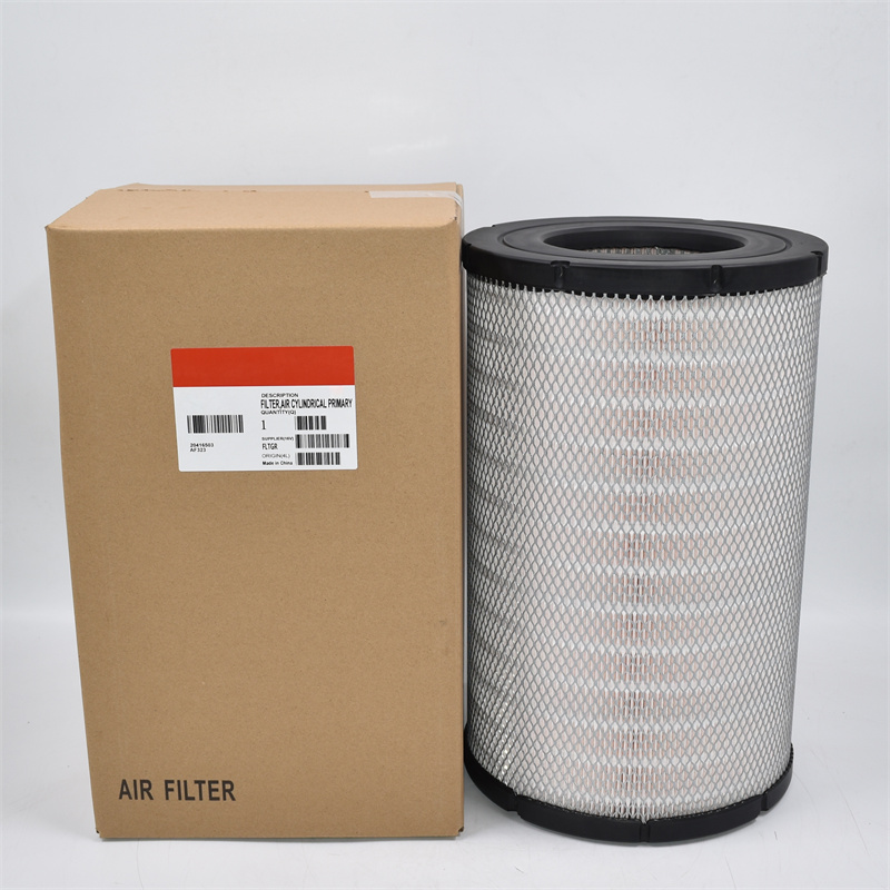 P619046 Filtro de Ar RS30130