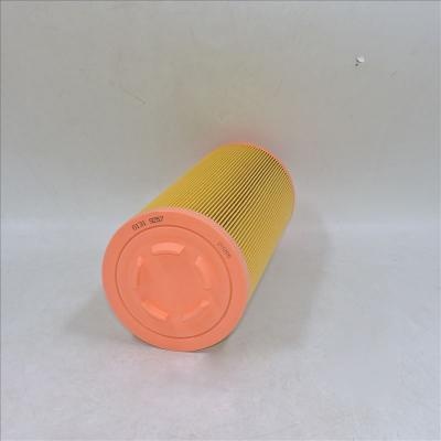 filtro de ar 01319257 1319257 P778989 SA 17100 46836
