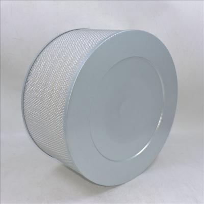 filtro de ar P181126 A-5531 PA2653 AF4609
