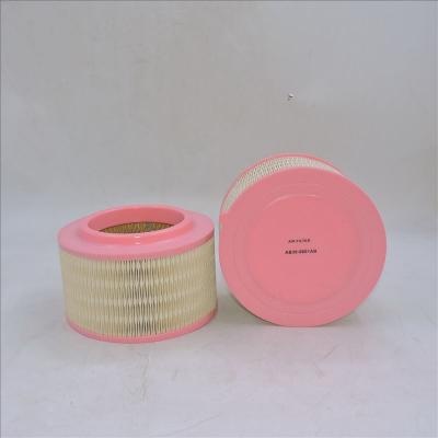 Filtro de ar AB39-9601AB P506075 WA9763 E1205L
