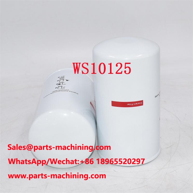 Substituição do filtro WE2091 do líquido refrigerante WS10125