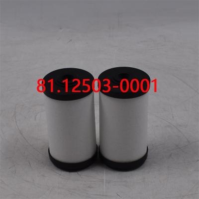 Fuel Filter 81.12503-0001
