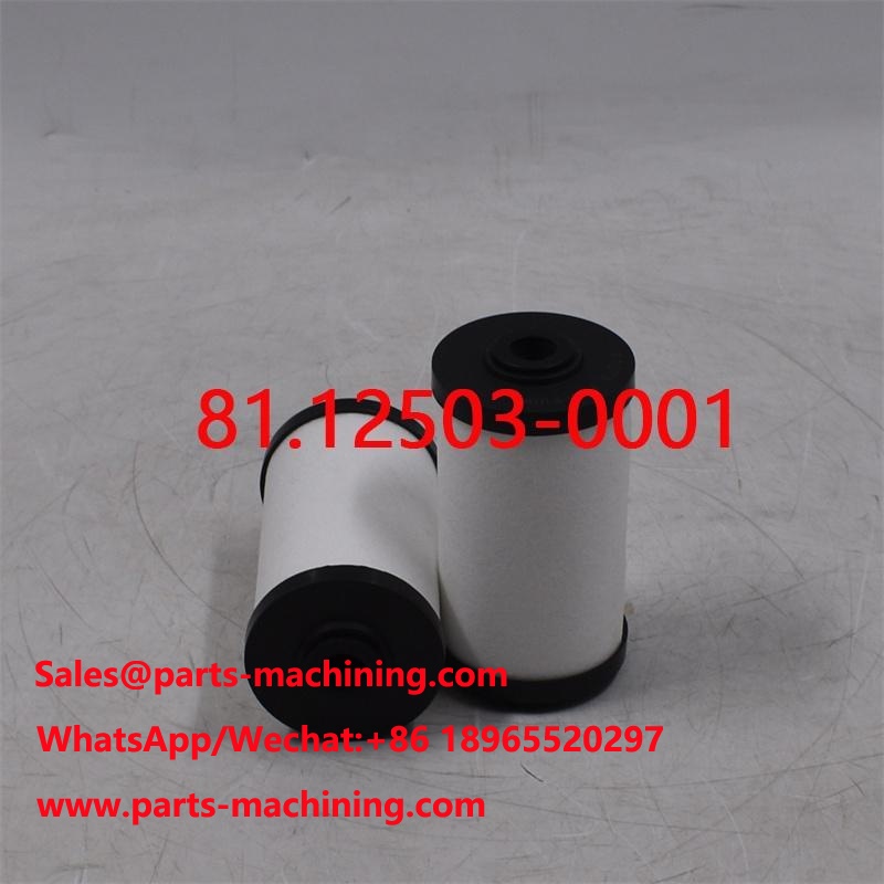 Fuel Filter 81.12503-0001