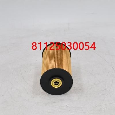 Filtro de Combustível 81125030054 81125030018