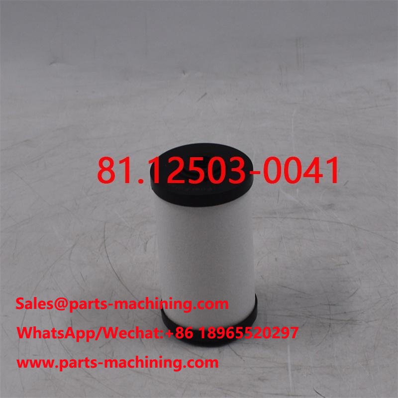 Fuel Filter 81.12503-0041